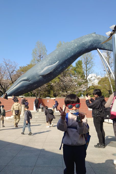 恐竜展を見に上野に行ってきた。うん。疲れた。上野公園はお花見で人が凄かった。写真。映画バケモノの子に出てきたような鯨。 