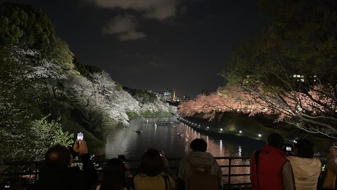 夜桜四重奏―――。 