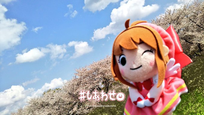 🌸さくらの季節だね🌸#カードキャプターさくら#ぬい撮り#ちょっこりさん 🌸さくらの季節だね🌸#カードキャプターさくら#ぬい撮り#ちょっこりさん