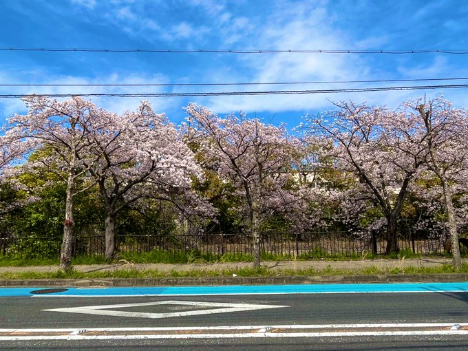 この景色がずっと見たかった#anime_eupho #リズと青い鳥 #のぞみぞ この景色がずっと見たかった#anime_eupho #リズと青い鳥 #のぞみぞ