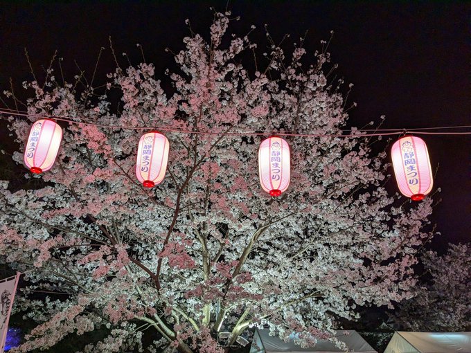 古城にて府中の民の賑わいを祭囃子に桜の木byたまゆら 