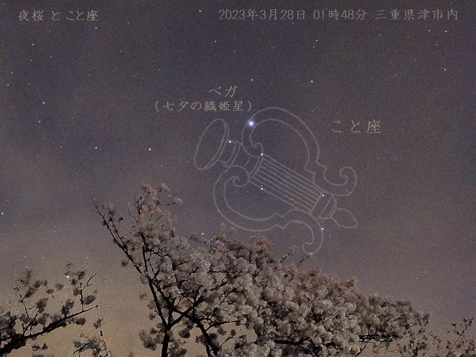 金色のコルダ3&4の主人公と共に歩むヴァイオリン奏者、如月響也さん、誕生日おめでとうございます。夜桜と星奏学園のシンボル 金色のコルダ3&4の主人公と共に歩むヴァイオリン奏者、如月響也さん、誕生日おめでとうございます。夜桜と星奏学園のシンボル