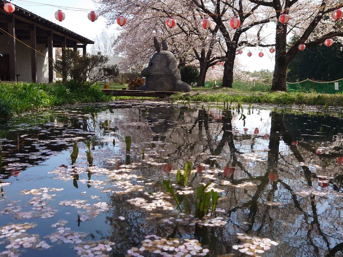 ちょっと離れた所からトトロたちを。今日は良い天気良かった。そよ風が吹くと桜の花びらが舞ってとても良い感じです(^^)さぁ