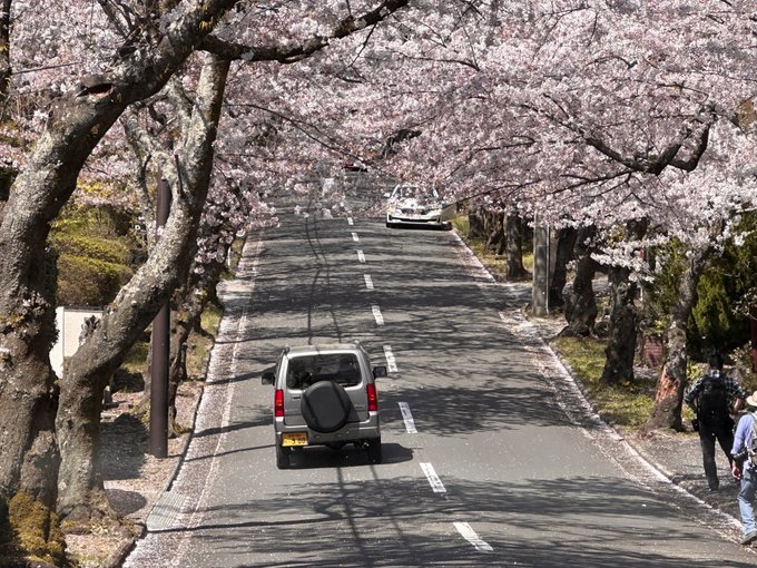 秒速5センチメートルで桜舞い散る中を秒速8メートルで走り抜ける。(時速30キロは秒速8.3メートル) 