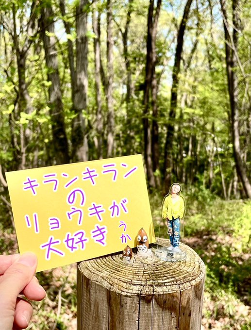 新緑の季節🌿🌱🌳森の妖精のようなリョウキたくさんたくさん輝く1年でありますように埼玉 とあるトトロの森 #RYOKI_B