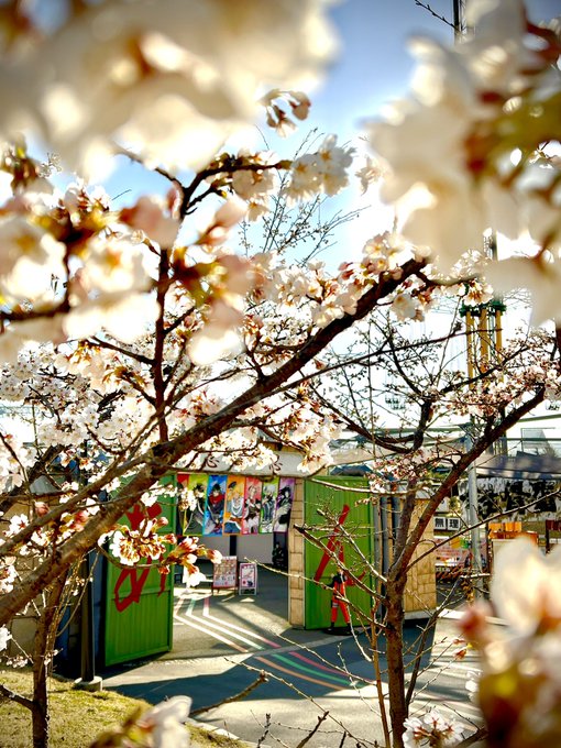 おはようございます☀️今日は久しぶりにスッキリと晴れた朝になりました。こちらもやっと桜🌸が咲き始め、場所によっては富士山