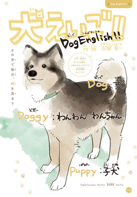 「ハイキュー!!」古舘春一先生最新作！犬と英語のゆるゆるドッグライフ絵本！#犬えいご#勉タメ#学習マンガ#古舘春一 