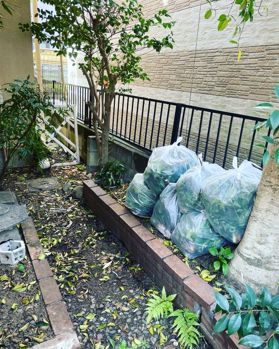 午前中から木こり作業。今日は暑いから汗がヤバイヨヤバイヨ…(出川風)夏に向けて虫や蚊が出る前に。#木こり#千歳台 午前中から木こり作業。今日は暑いから汗がヤバイヨヤバイヨ…(出川風)夏に向けて虫や蚊が出る前に。#木こり#千歳台