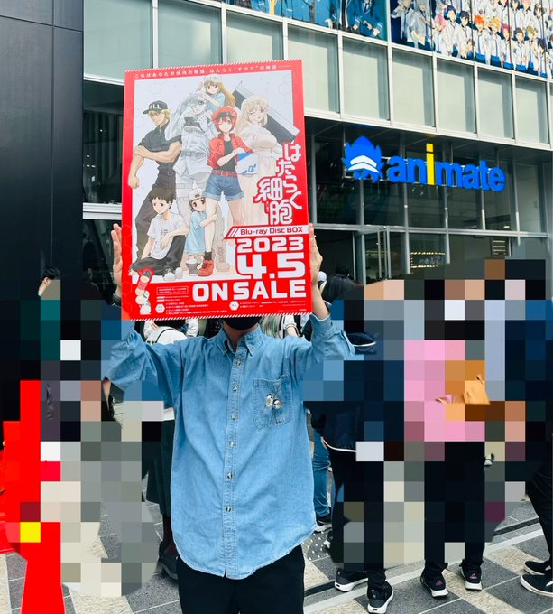 / 📢 #はたらく細胞 配布会開始!\アニメイト池袋本店 店頭にて配布会スタートしました🎁お立ち寄りの際はぜひ! / 📢 #はたらく細胞 配布会開始!\アニメイト池袋本店 店頭にて配布会スタートしました🎁お立ち寄りの際はぜひ!