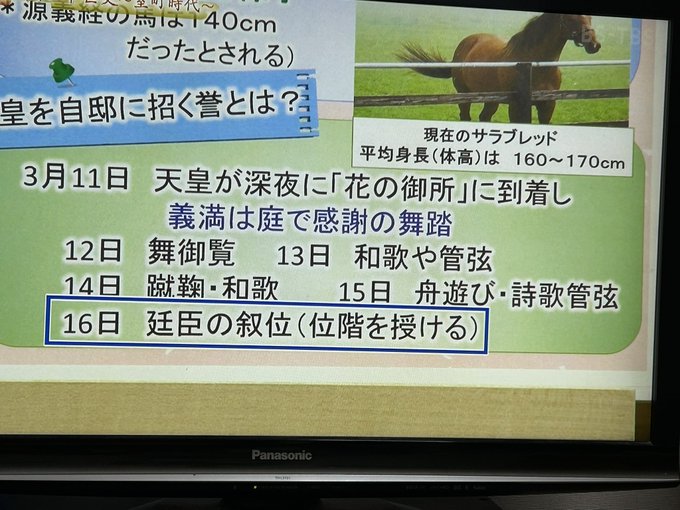 あそびあそばせw あそびあそばせw