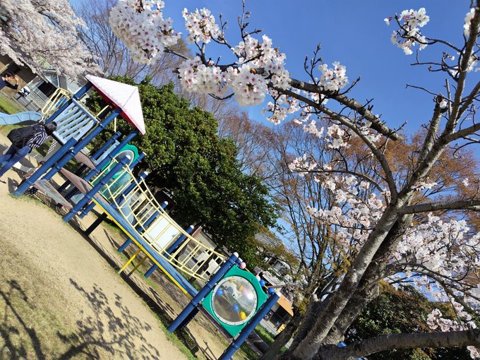 桜を愛でながら六花ちゃんを探す🌸六花ちゃんには会えず⤵️お花見のお客さまが多すぎて写真も取りにくい環境でした📸六花ちゃん