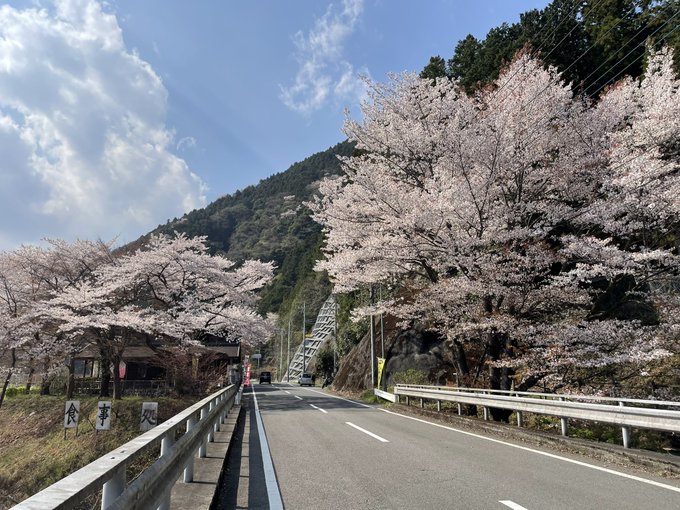 飯能の山奥まで走ってきました♪山の方も桜が綺麗でしたね✨名栗のさわらびの湯に寄ってきたけどヤマノススメのパネルがあった！