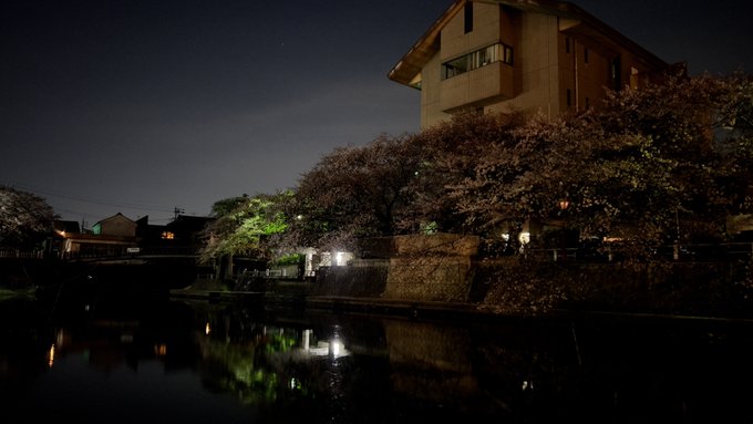 ライトオフ！#大垣#大垣桜#夜桜#聲の形#聖地巡礼 