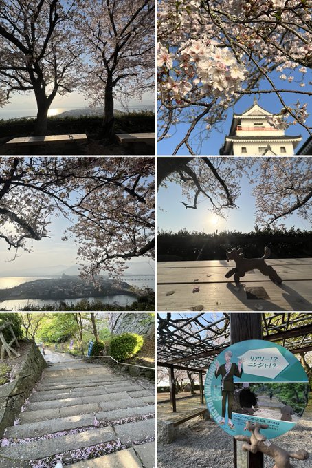 おはようございます！本日朝活🌸晴れているけど霞が凄い💦唐津城でユーリ‼︎!のぬい持ってある方がこられて思い切って声をかけ