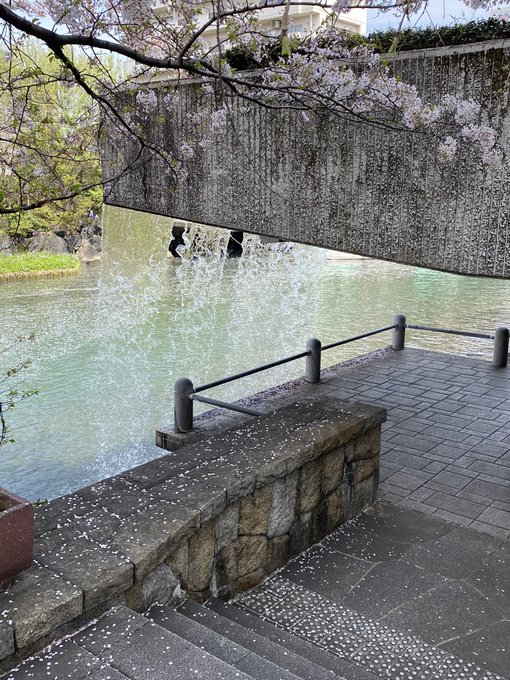 桜の季節にようやく来れた。聲の形、聖地大垣 桜の季節にようやく来れた。聲の形、聖地大垣