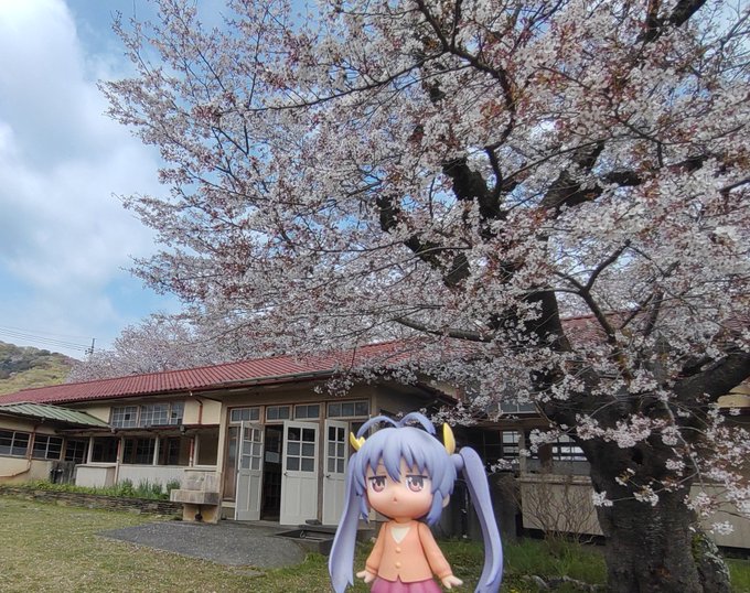 旧下里分校のお花見会に来ました。#のんのんびより 旧下里分校のお花見会に来ました。#のんのんびより
