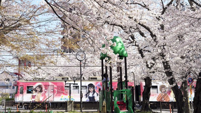 ユーフォラッピング電車と桜来年2月までの運行だから、来年は撮れない…#anime_eupho 