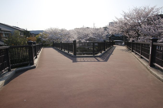 キミスイ「君の膵臓をたべたい」ロケ地伏見であい橋です😊京阪中書島駅近くで下の川は十石舟の通るコースです😊撮影の時間帯は午 キミスイ「君の膵臓をたべたい」ロケ地伏見であい橋です😊京阪中書島駅近くで下の川は十石舟の通るコースです😊撮影の時間帯は午