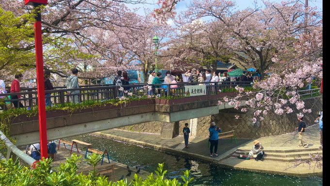 聲の形　(岐阜県大垣市)#聲の形 #大垣 