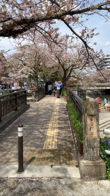 聲の形によく出てた橋〜 