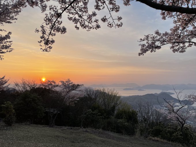 たまゆら広島おさんぽ２日目。夜中から朝日山へ登り日の出からスタート。朝日山、宿根の大桜、BJHと春らしい桜まみれの1日に
