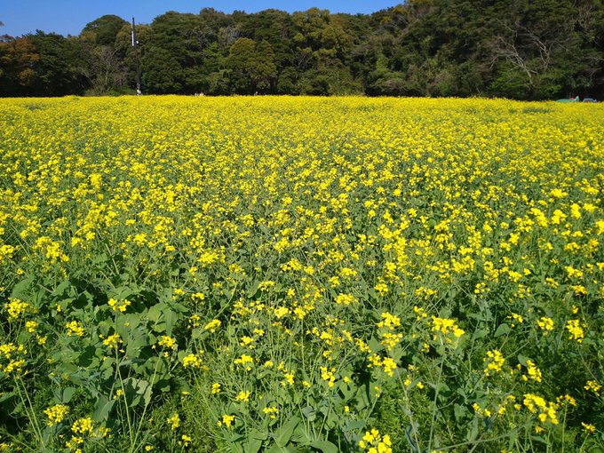 マグメルに来ましたw マグメルに来ましたw