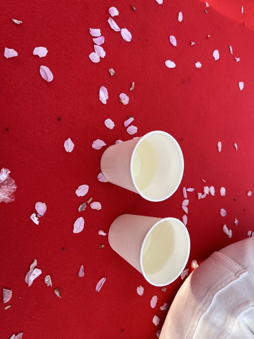 さくらと日本酒桜を見たら…誰か思い出す…?でもツイート欄見てるとまほいく打ちたい(ぉ さくらと日本酒桜を見たら…誰か思い出す…?でもツイート欄見てるとまほいく打ちたい(ぉ