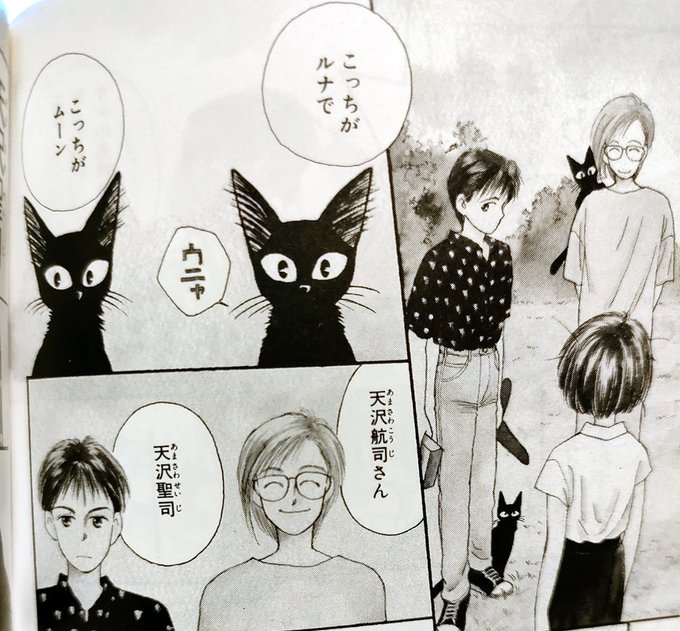 原作漫画の『耳をすませば』には、ムーンとルナという2匹の猫が登場します。それから、天沢誠司には、天沢航司という兄がいます 原作漫画の『耳をすませば』には、ムーンとルナという2匹の猫が登場します。それから、天沢誠司には、天沢航司という兄がいます