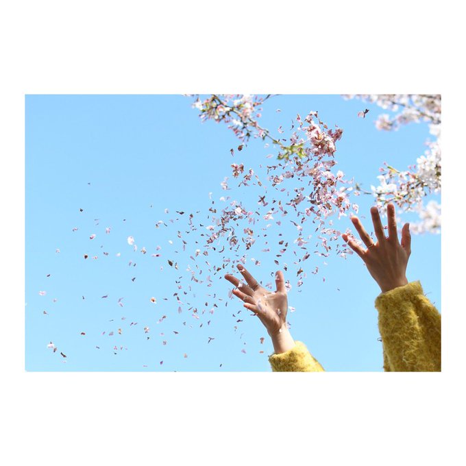 耳をすませばの聖地、聖蹟桜ヶ丘に行ってきました 耳をすませばの聖地、聖蹟桜ヶ丘に行ってきました