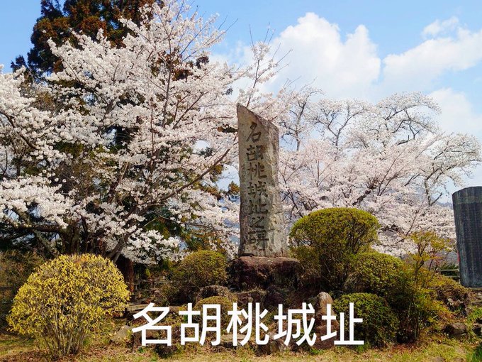 群馬にある真田一族に縁のある場所です。名胡桃城趾と沼田城趾。両方とも続日本100名城。いずれも高台にあり、共に桜が見事に 群馬にある真田一族に縁のある場所です。名胡桃城趾と沼田城趾。両方とも続日本100名城。いずれも高台にあり、共に桜が見事に