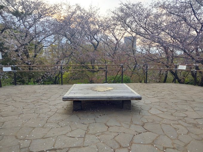 戸山公園、やっと巡礼できた🌸『君のいる町』読み直してえ🍊🍺 