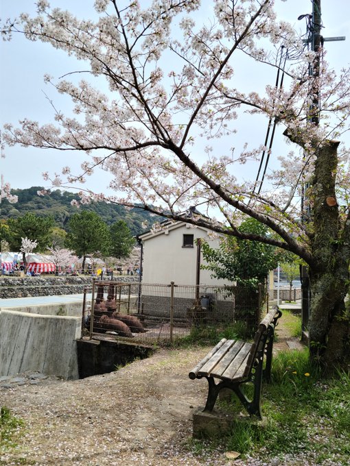 【#響けユーフォニアム 聖地巡礼】8/nさて、宇治川沿いに歩いていくと見えてきた…久美子ベンチ!一番楽しみにしてました😆 【#響けユーフォニアム 聖地巡礼】8/nさて、宇治川沿いに歩いていくと見えてきた…久美子ベンチ!一番楽しみにしてました😆
