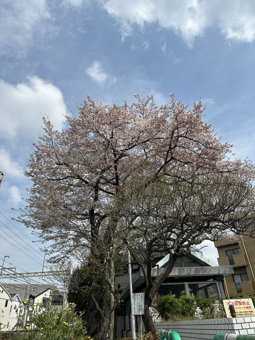 充電切れて復活待ってる間に寝落ちした(#´ᗜ`#)第3回 #太一杯 レポート新幹線の中から🚄発信します✋今日は急遽聖地巡 充電切れて復活待ってる間に寝落ちした(#´ᗜ`#)第3回 #太一杯 レポート新幹線の中から🚄発信します✋今日は急遽聖地巡