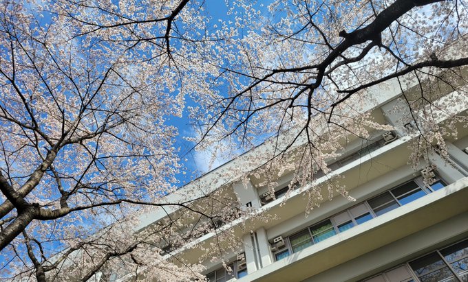 めっちゃアオハライドなビジュでテンション上がってきた めっちゃアオハライドなビジュでテンション上がってきた