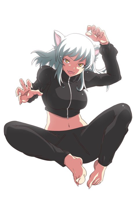 にゃーん。#物語シリーズ にゃーん。#物語シリーズ