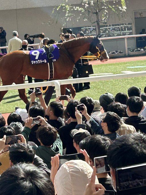 皆様おはようございます😃昨日は競馬で−28000円😭けど楽しめたし良かった😄改めて奥様がパドック診断出来るの知ったし👍今