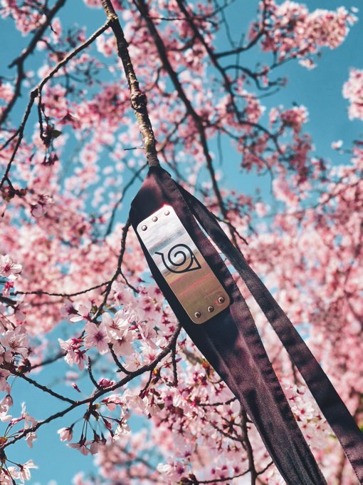 ＼🌸忍の里でお花見🌸／里の桜も散り始めています💭忍里では花の季節にぴったりの🌷香り袋作り体験🌷も開催中です💐🌸#淡路島 