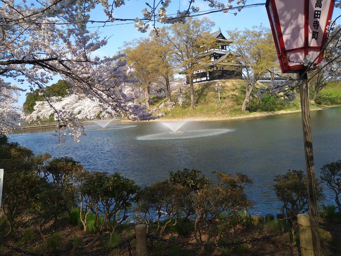 聖地巡礼w#高田城址公園観桜会 #サザエさん 