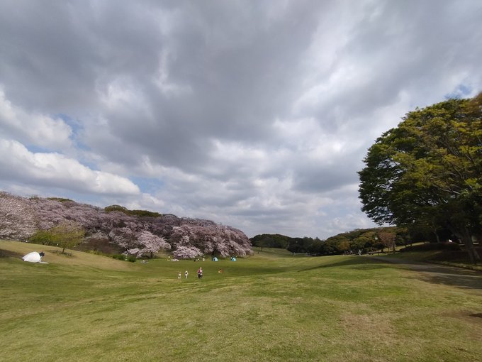 根岸森林公園です。「未来のミライ」の舞台で有名ですね。 根岸森林公園です。「未来のミライ」の舞台で有名ですね。