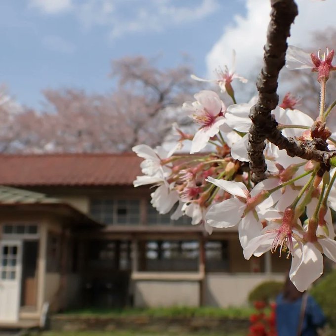 #下里桜まつり #のんのんびより 久しぶりに下里分校へ🌸美味しい地元のお店がたくさんでてました。#分校カフェMOZART #下里桜まつり #のんのんびより 久しぶりに下里分校へ🌸美味しい地元のお店がたくさんでてました。#分校カフェMOZART