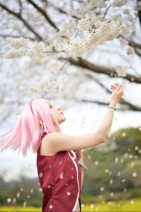 ※ cos / cosplayBORUTO-NARUTO NEXT GENERATIONSうちは サクラ (春野サクラ) ※ cos / cosplayBORUTO-NARUTO NEXT GENERATIONSうちは サクラ (春野サクラ)