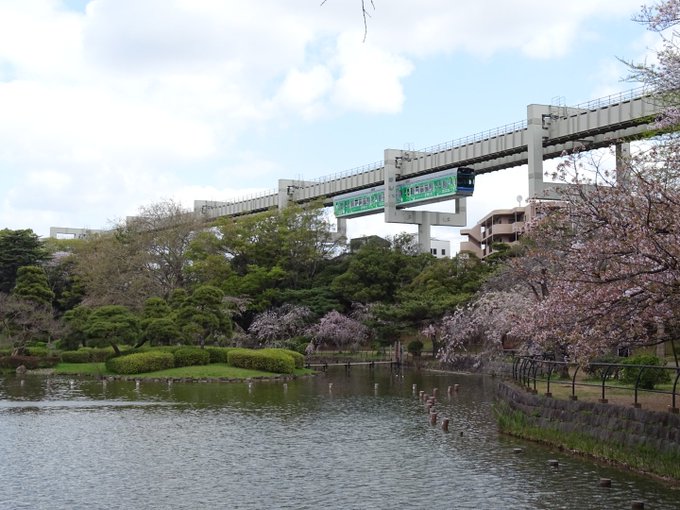 #おやすみトレイン明日も働きます!(今夜の車両)千葉モノレール1000形千葉公園でモノレールと桜のコラボを撮りました!俺 #おやすみトレイン明日も働きます!(今夜の車両)千葉モノレール1000形千葉公園でモノレールと桜のコラボを撮りました!俺