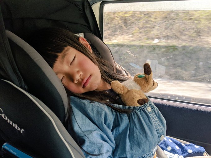 一泊二日の山形旅行から帰ってきた🚗今日はジブリグッズをあつかう新潟の『どんぐり共和国』なるお店に寄った。テトのぬいぐるみ 一泊二日の山形旅行から帰ってきた🚗今日はジブリグッズをあつかう新潟の『どんぐり共和国』なるお店に寄った。テトのぬいぐるみ