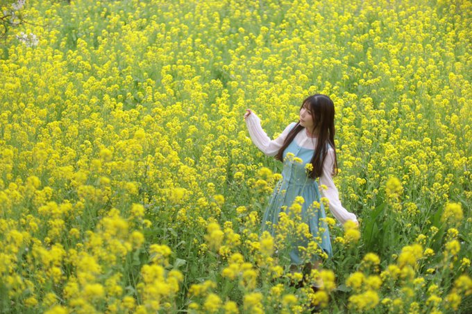 ナウシカになってきた🍃photo ナウシカになってきた🍃photo