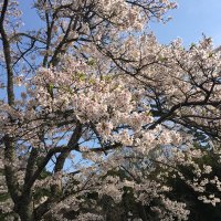 @m_nakuya_trade