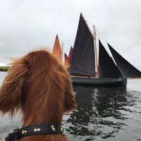 @KCruinniu