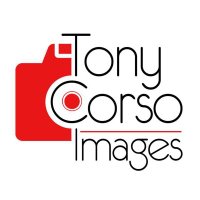 @TonyCorsoImages