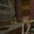 Mue51ff14