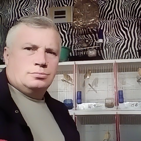 Mehmet oğuz 🦅Melbourne🦅 Twitter account Profile Photo Mehmet oğuz 🦅Melbourne🦅 Twitter account Profile Photo