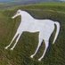 WhiteHorseCBUser